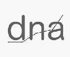 DNA Advertising
